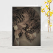 Tabby Cat Karte (Gelbe Blume)