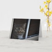 Tabby Cat Karte (Gelbe Blume)