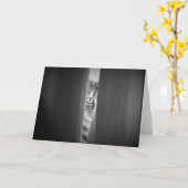 Tabby Cat, Karte (Gelbe Blume)