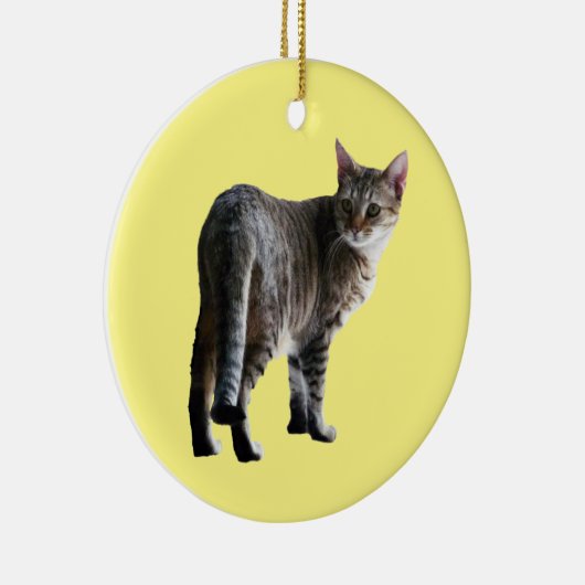 Tabby Cat Keramik Ornament (Rechts)