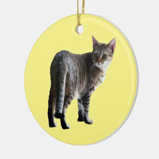 Tabby Cat Keramik Ornament (Links)