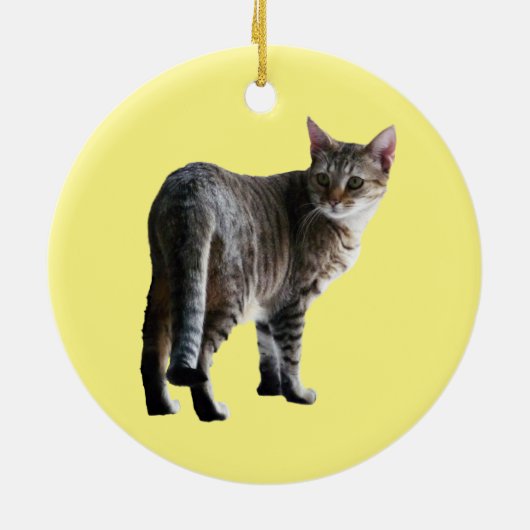 Tabby Cat Keramik Ornament (Hinten)