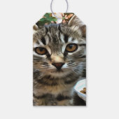 Tabby Cat Kitten Augenkontakt Geschenkanhänger (Vorderseite)