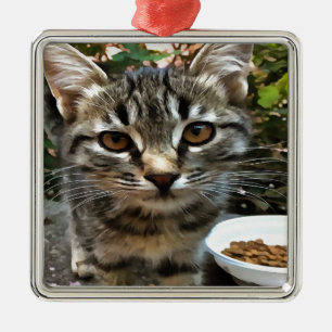 Tabby Cat Kitten Augenkontakt Silbernes Ornament