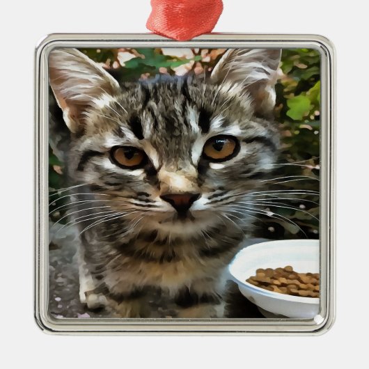 Tabby Cat Kitten Augenkontakt Silbernes Ornament (Vorne)