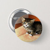 Tabby Cat Kitten Pet Portrait Button (Vorne & Hinten)
