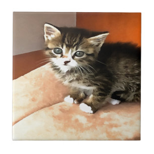 Tabby Cat Kitten Pet Portrait Fliese