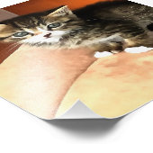 Tabby Cat Kitten Pet Portrait Fotodruck (Ecke)