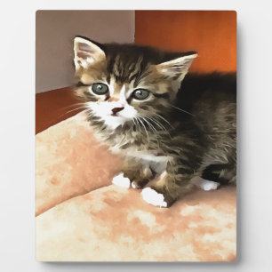 Tabby Cat Kitten Pet Portrait Fotoplatte