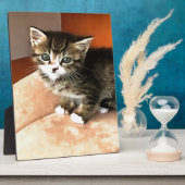 Tabby Cat Kitten Pet Portrait Fotoplatte (Seite)