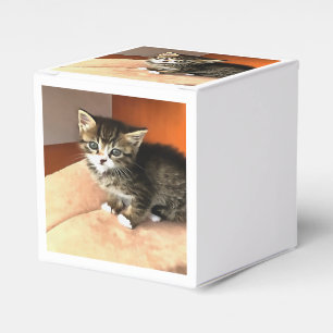 Tabby Cat Kitten Pet Portrait Geschenkschachtel