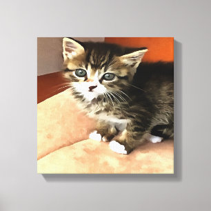 Tabby Cat Kitten Pet Portrait Leinwanddruck