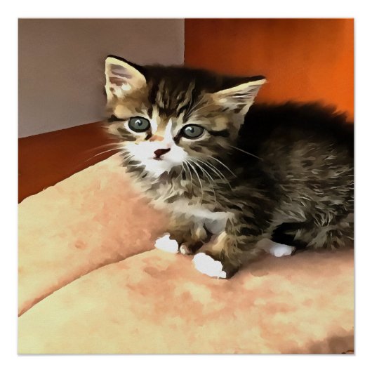 Tabby Cat Kitten Pet Portrait Poster (Vorderseite)