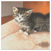 Tabby Cat Kitten Pet Portrait Stoff (Nahaufnahme)
