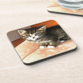 Tabby Cat Kitten Pet Portrait Untersetzer (Linke Seite)
