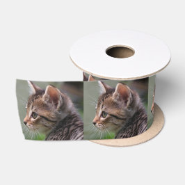 Tabby cat kitten Portrait 3" Satinband