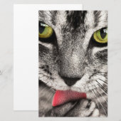 Tabby Cat Licking Paw Briefpapier (Vorne/Hinten)