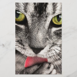 Tabby Cat Licking Paw Briefpapier