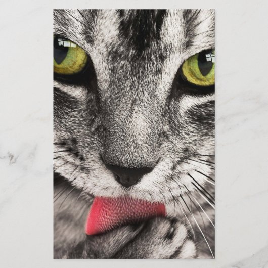 Tabby Cat Licking Paw Briefpapier (Vorderseite)