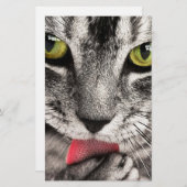 Tabby Cat Licking Paw Briefpapier (Vorne/Hinten)