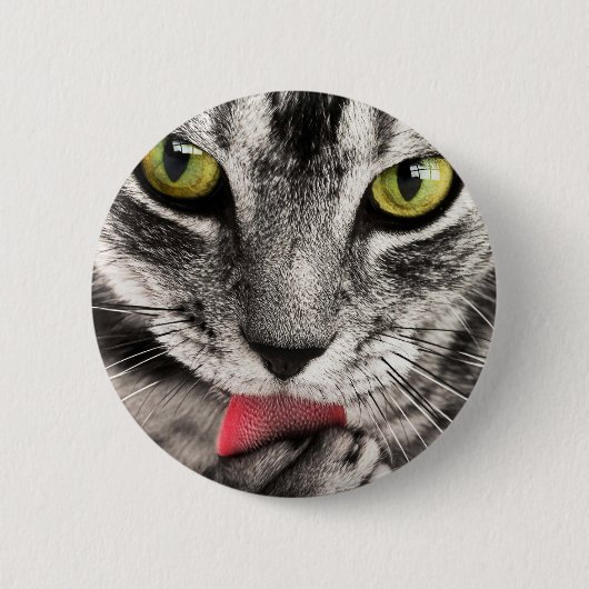 Tabby Cat Licking Paw Button (Vorderseite)