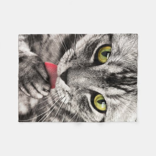 Tabby Cat Licking Paw Fleecedecke (Vorderseite (Horizontal))
