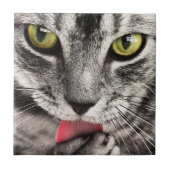 Tabby Cat Licking Paw Fliese (Vorderseite)