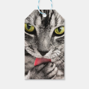 Tabby Cat Licking Paw Geschenkanhänger