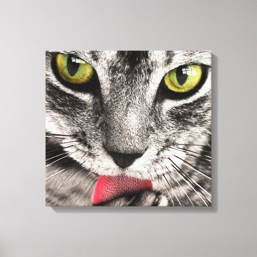 Tabby Cat Licking Paw Leinwanddruck (Vorderseite)