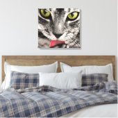 Tabby Cat Licking Paw Leinwanddruck (Insitu (Schlafzimmer))