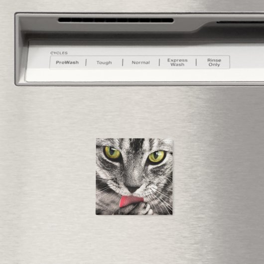 Tabby Cat Licking Paw Magnet (In Situ (Geschirrspüler))