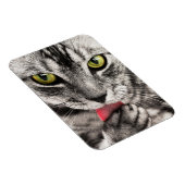 Tabby Cat Licking Paw Magnet (Rechte Seite)