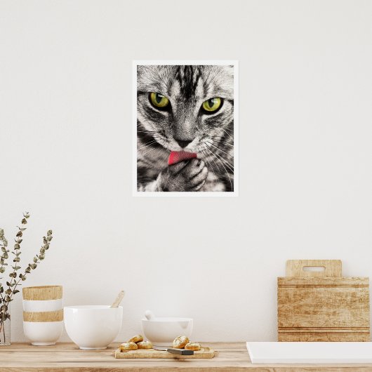 Tabby Cat Licking Paw Poster (Küche)
