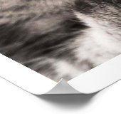 Tabby Cat Licking Paw Poster (Ecke)