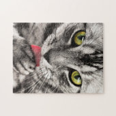 Tabby Cat Licking Paw Puzzle (Horizontal)