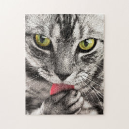Tabby Cat Licking Paw Puzzle