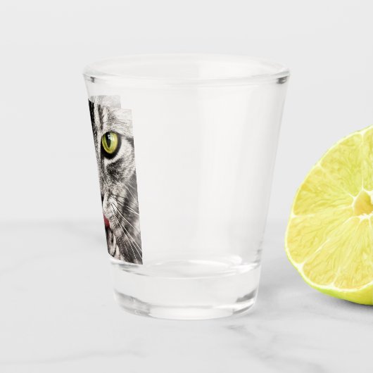 Tabby Cat Licking Paw Schnapsglas (Rechts)