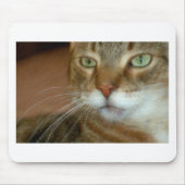 Tabby Cat Liebe Mousepad (Vorne)