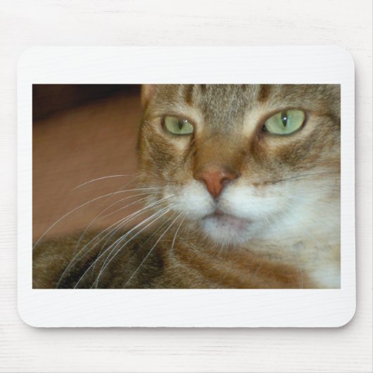 Tabby Cat Liebe Mousepad (Vorne)