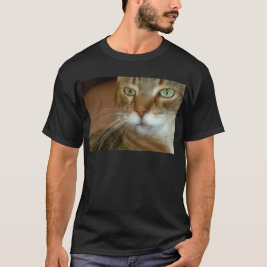 Tabby Cat Liebe T-Shirt (Vorderseite)