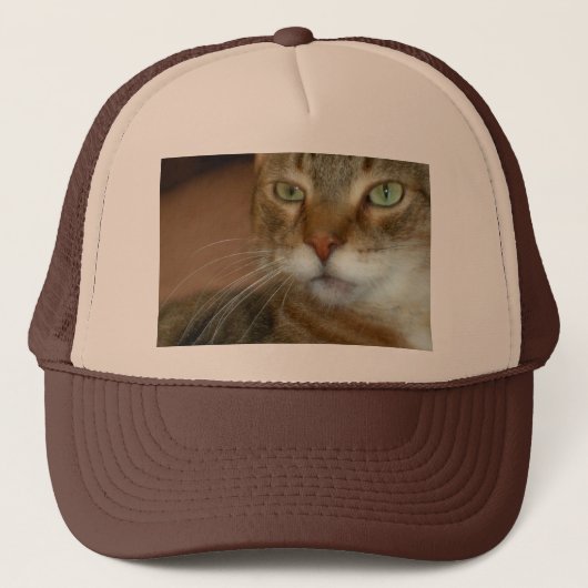 Tabby Cat Liebe Truckerkappe (Vorderseite)
