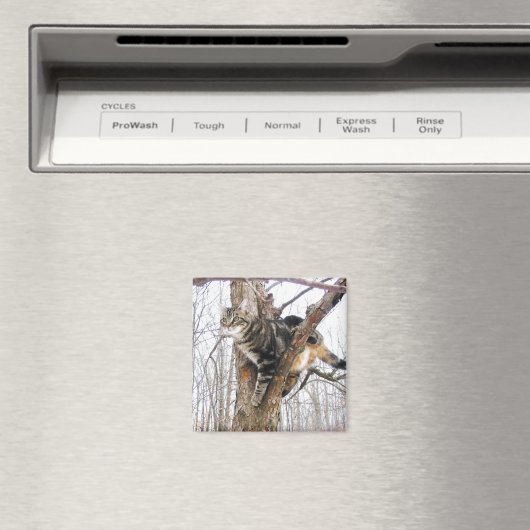Tabby Cat Magnet (In Situ (Geschirrspüler))