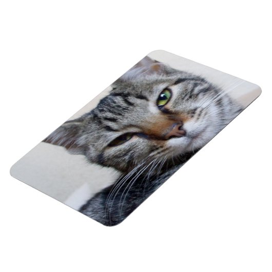 Tabby Cat Magnet (Linke Seite)