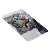 Tabby Cat Magnet (Rechte Seite)