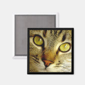 Tabby Cat - Magnet (Vorderseite/Rückseite)