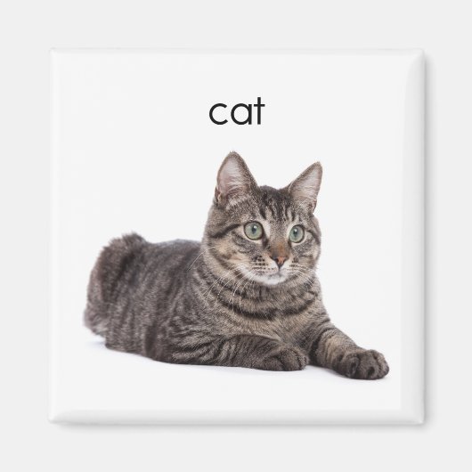 Tabby Cat Magnet (Vorne)