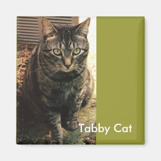 Tabby Cat Magnet Retrogrün