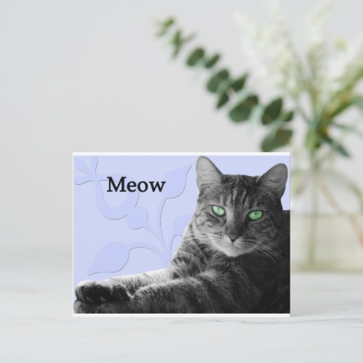 Tabby Cat Meow Postkarte (Stehend Vorderseite)