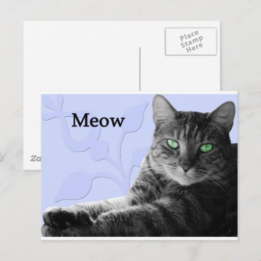 Tabby Cat Meow Postkarte (Vorne/Hinten)