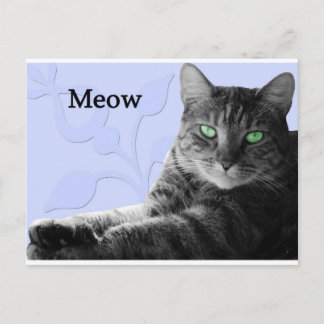Tabby Cat Meow Postkarte
